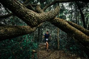 BIB: 
                            <button type="button" onclick="openModal(25708190)" class="btn btn-primary btn-sm float-right btn-popup" data-toggle="modal" data-target=".modal-high-quality">
                        <i class="fas fa-shopping-cart"></i> Add to Cart
                    </button>
                                            <button type="button" onclick="isThisMe(25708190, true)" class="btn btn-success btn-sm float-right btn-popup btn-isme hidden" data-toggle="tooltip" data-placement="bottom" title="นี่คือรูปของคุณใช่ไหม คลิกที่นี่เพื่อเอาเข้าอัลบั้ม">
                        <i class="fas fa-plus"></i> Add to album
                    </button>
                    <button type="button" onclick="isThisMe(25708190, false)" class="btn btn-warning btn-sm float-right btn-popup btn-isnotme hidden">
                        <i class="fas fa-ban"></i> Remove from album
                    </button>